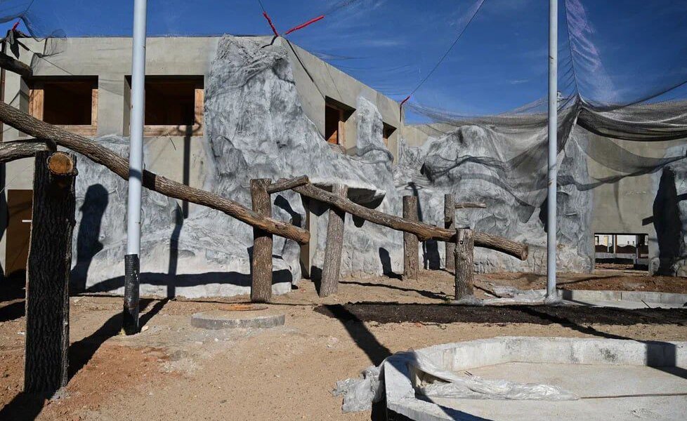 Новый пермский зоопарк планируют открыть летом 2025 года