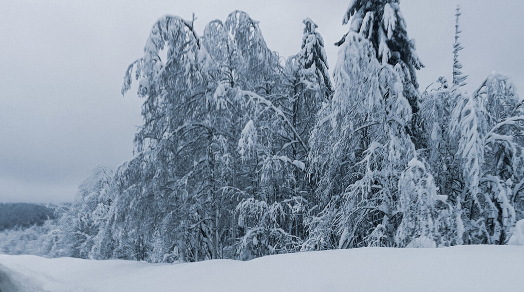 Пермяков напугали автоматчики в белых маскхалатах