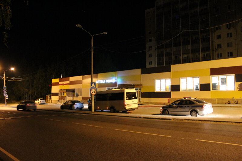 Пермяка, устроившего смертельное ДТП на угнанном микроавтобусе, будут судить