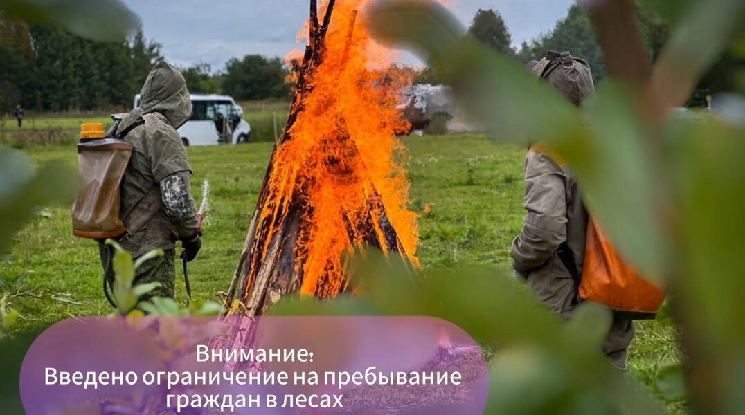 В Добрянском округе ввели противопожарный режим