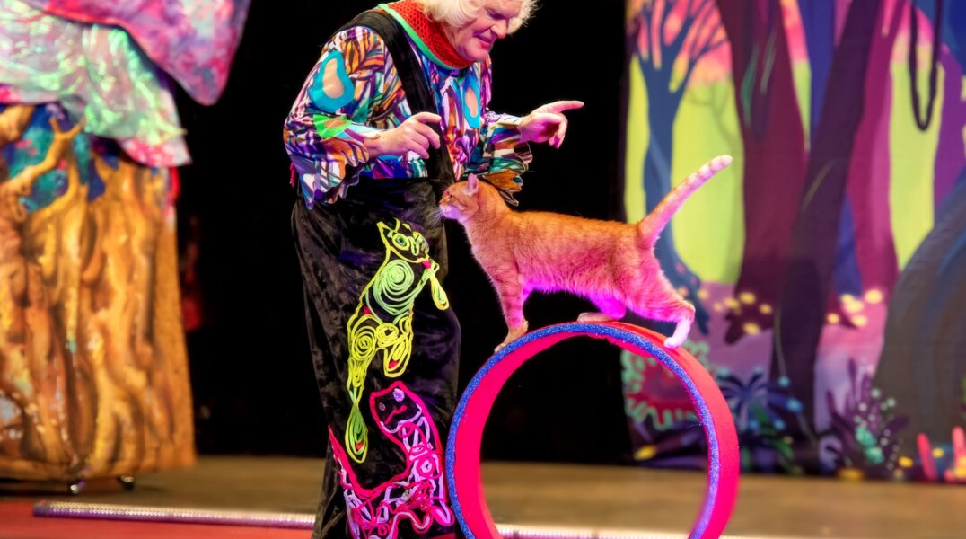 Юрий Куклачев попал в больницу в тяжелом состоянии