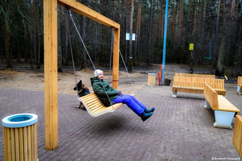 В Черняевском лесу Перми полностью обновили место отдыха «Площадка ветеранов»