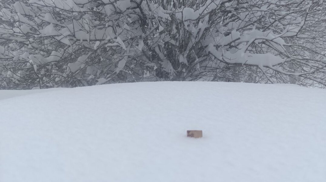 Высота снежного покрова в Перми приближается к 30 сантиметрам