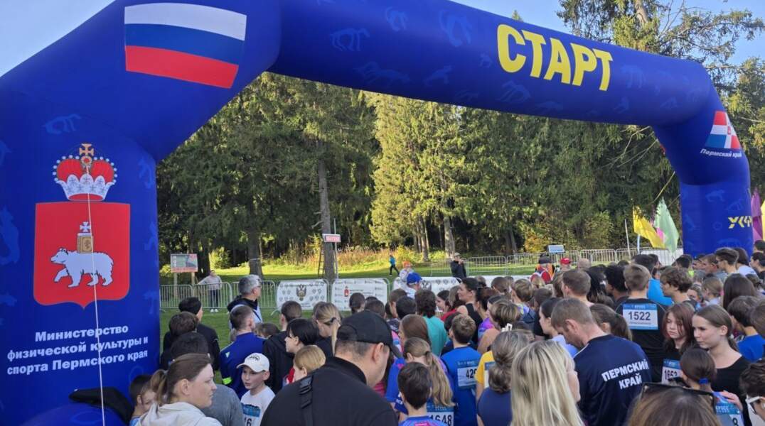 кросс наций 