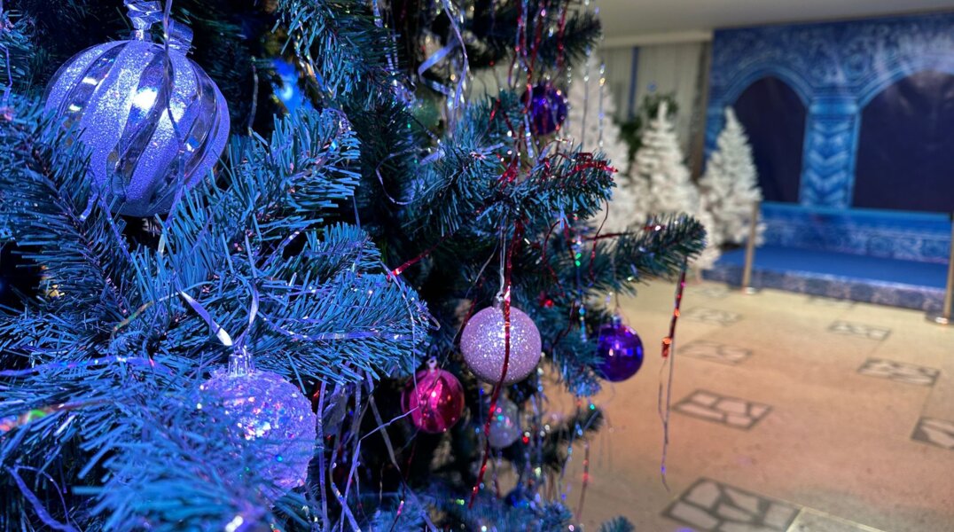 Пермяки смогут сдать живые елки на переработку после новогодних каникул