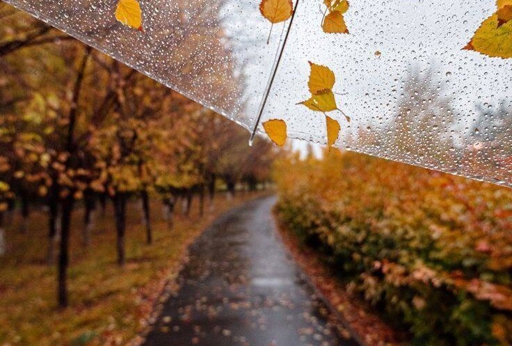 Пермские городские парки перешли на осенний режим работы