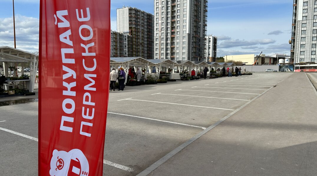 От посевной картошки до голландской гортензии: что можно найти на ярмарке саженцев в Перми?