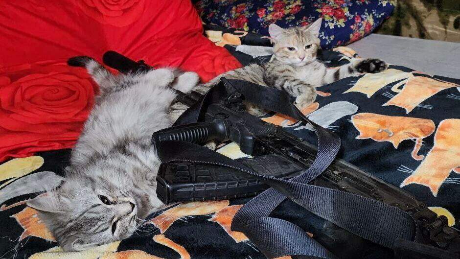 оружие