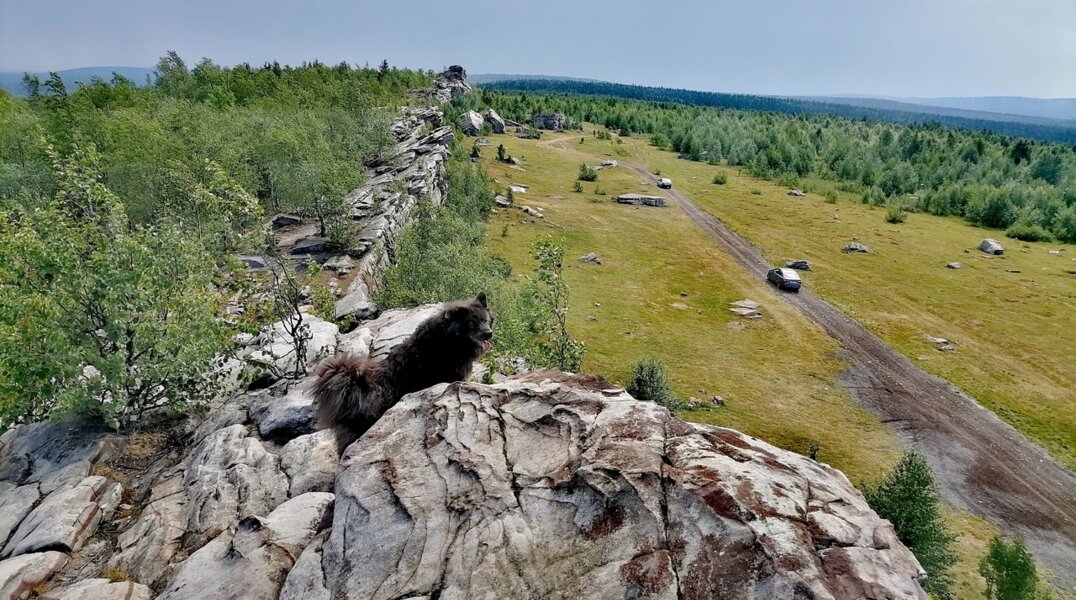 В сети появился трейлер нового семейного фильма, который снимали в Пермском крае