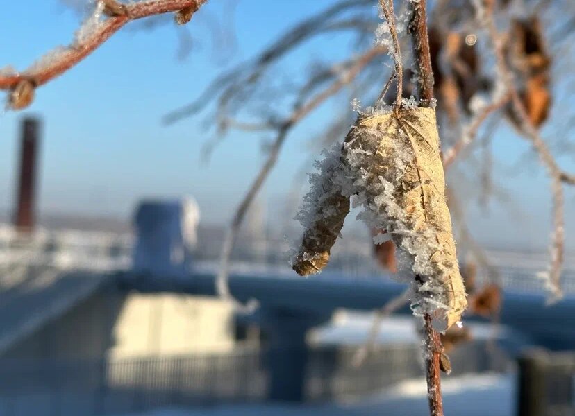 Ночь на 11 марта станет самой холодной в этом месяце