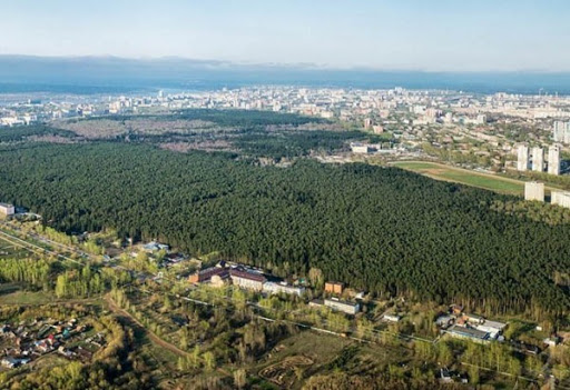 План черняевского леса в перми