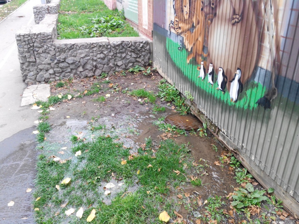 зоопарк потоп 3.jpg