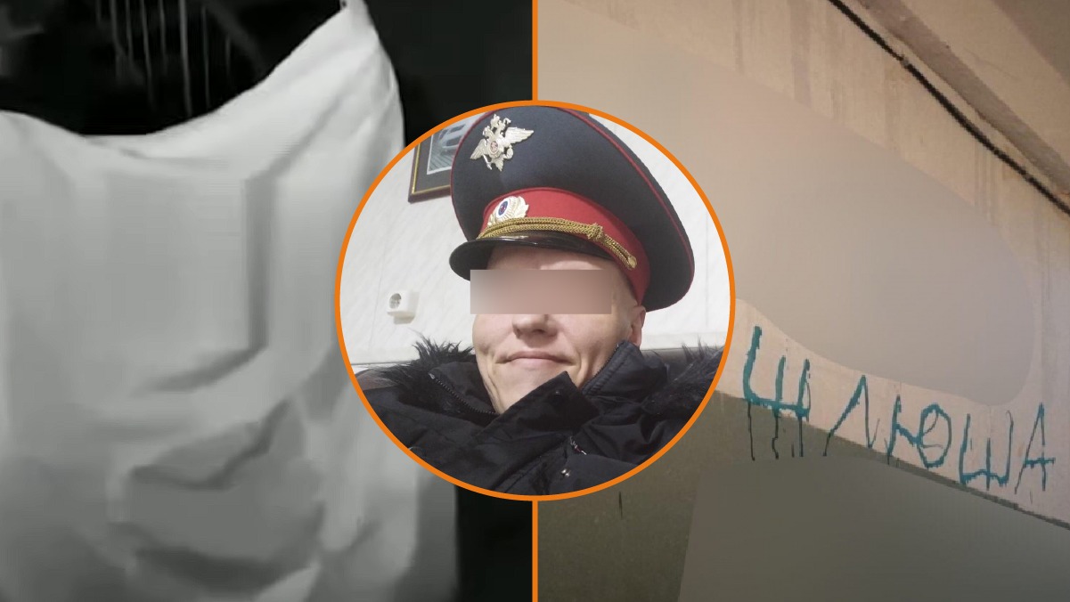 Коллаж «В курсе.ру»