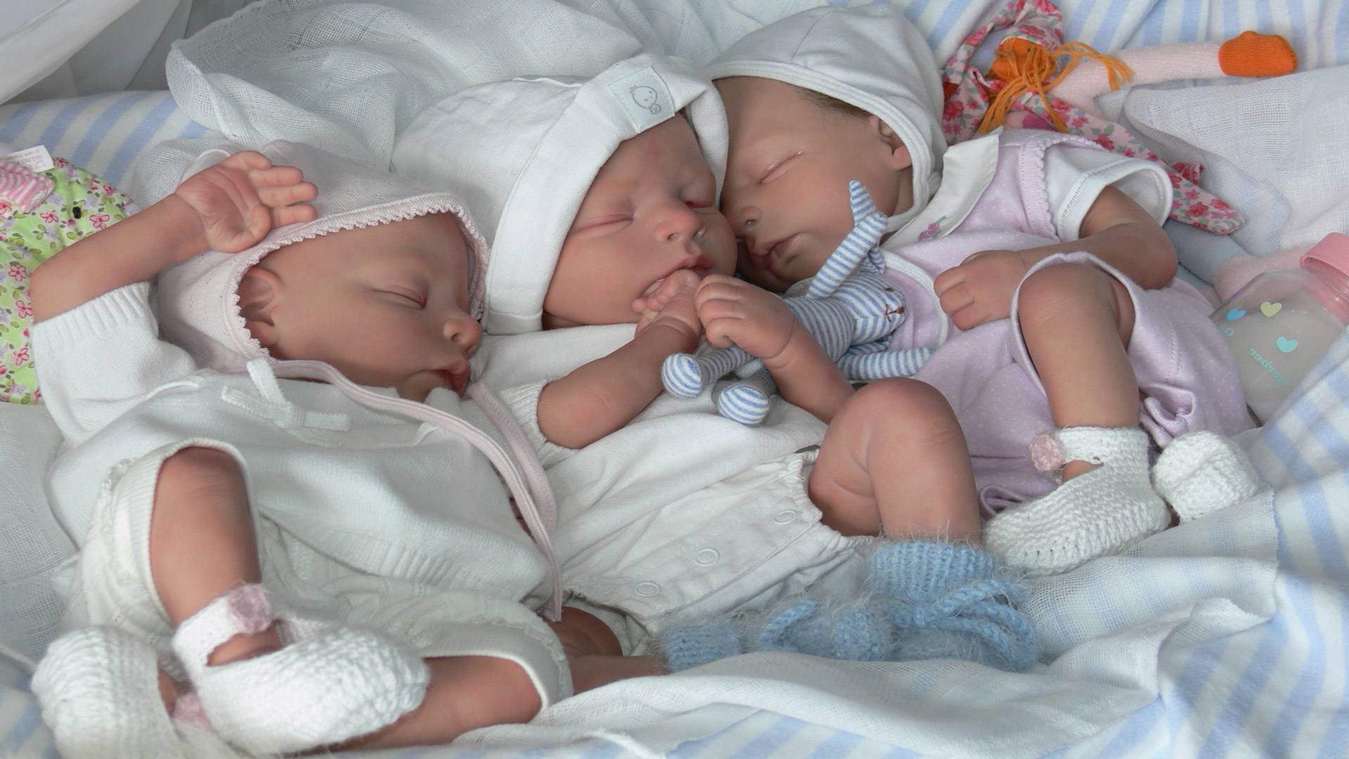 Дети рожденные 2015 году. Рождения тройняшек в Калуге. Тройняшки младенцы. Двойня. Поздравляю с рождением тройняшек.