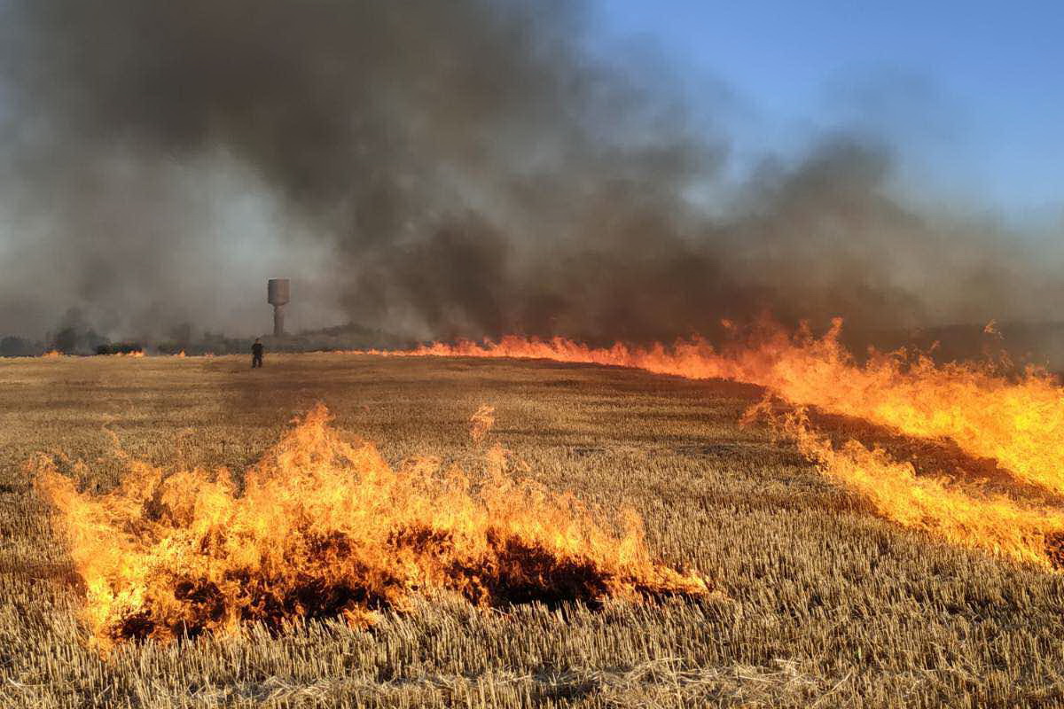 В региональном Росреестре напоминают об опасности выжигания сухой травянистой растительности, стерни, пожнивных остатков на землях сельхозназначения