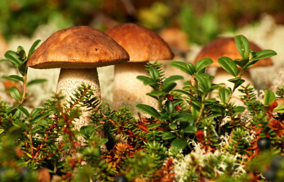 Фото: wday.ru