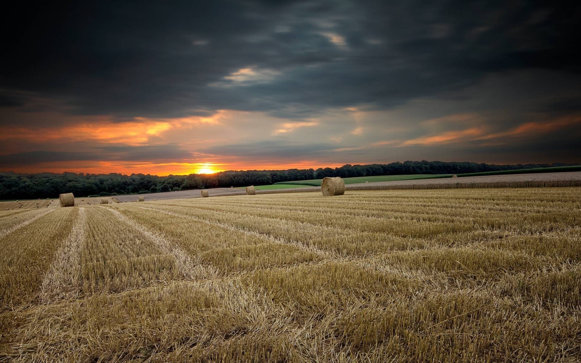 Фото: million-wallpapers.ru