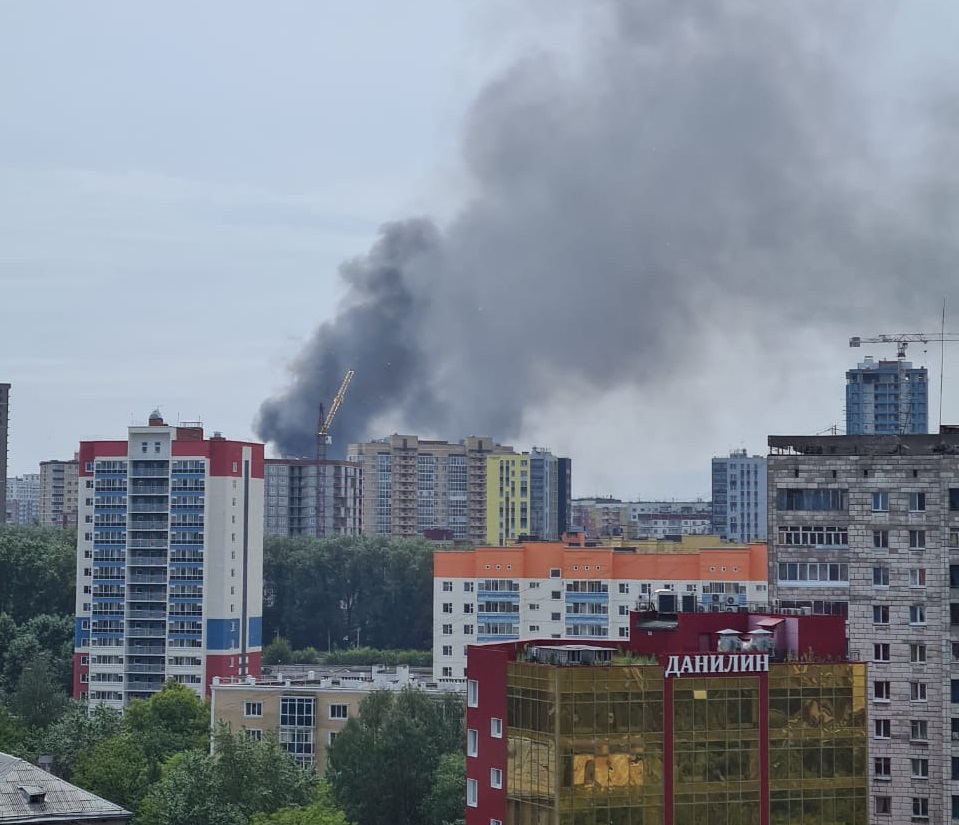 Фото: читатели