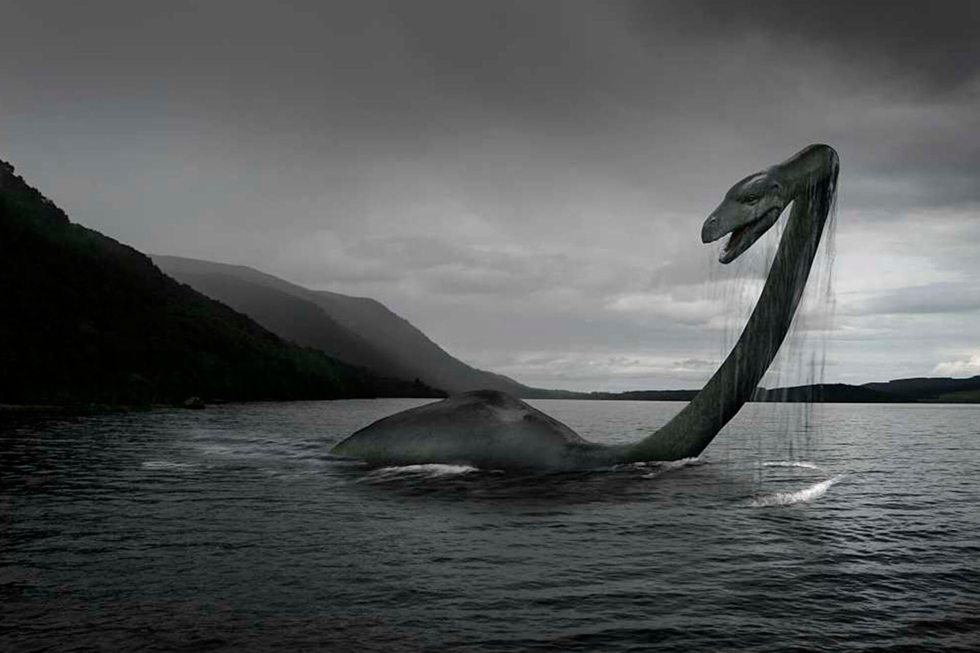 The loch ness monster has a. Озеро Лохнесс и Лохнесское чудовище. Лохнесское чудовище в озере лох Несс. Озеро Шотландии монстр Несси. Лохнесское чудовище в Шотландии.