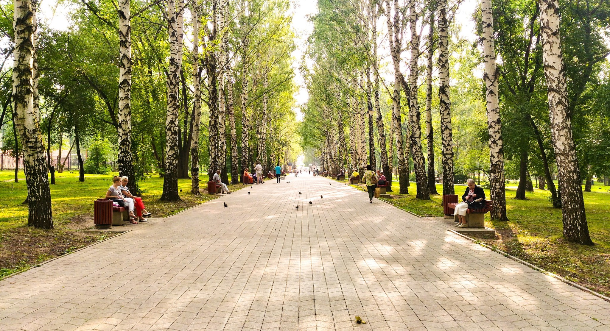 Сад Миндовского Пермь