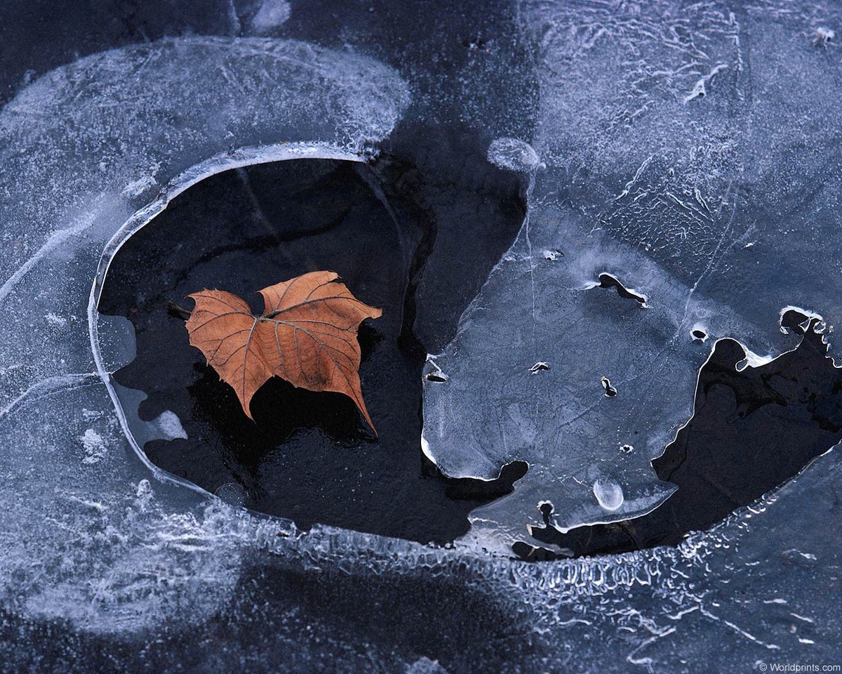 Фото: Пикабу