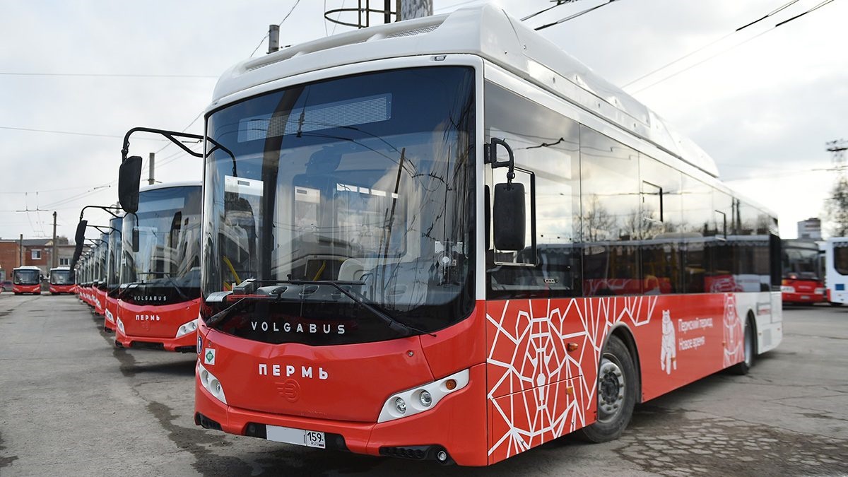Фото: Администрация Перми
