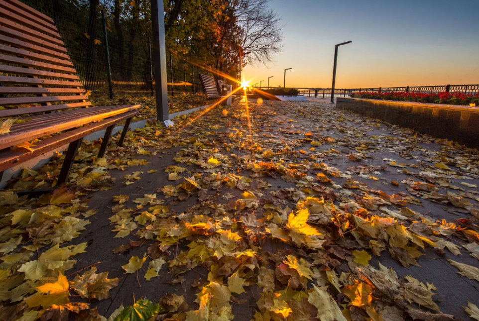 Фото: pgpalata.ru