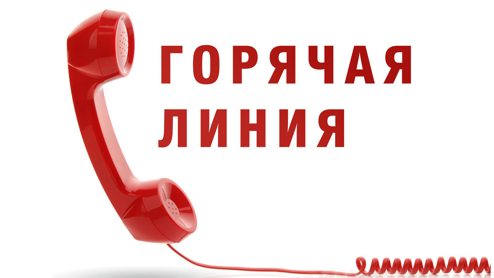 Фото: md-gazeta.ru