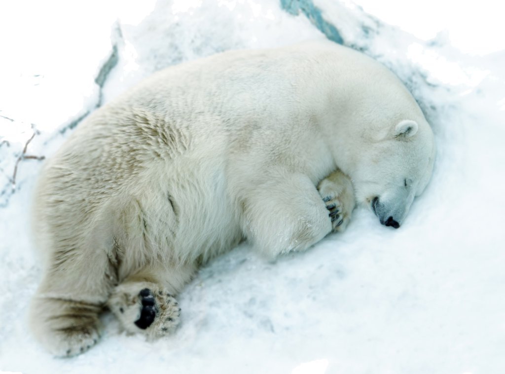 Фото: oblgazeta.ru