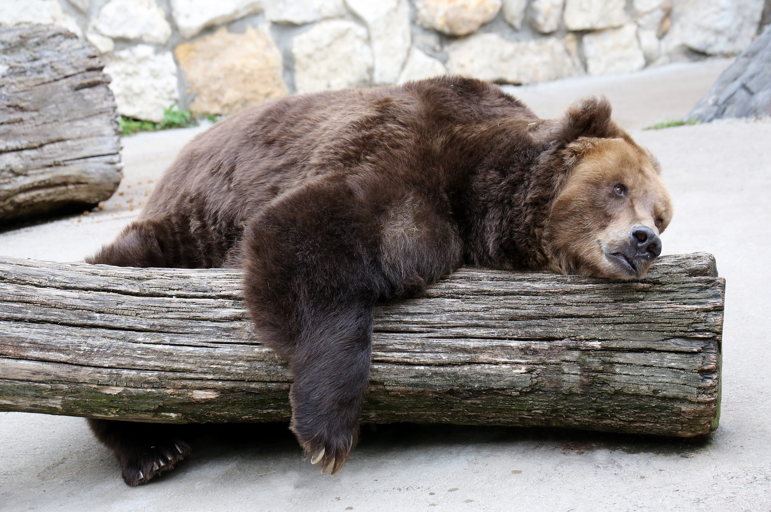 Фото: timeout.ru