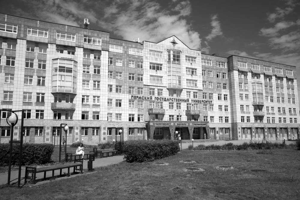 Фото: Новый компаньон