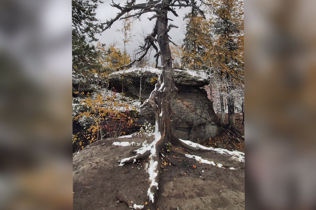Фото: Алексей Семёнов