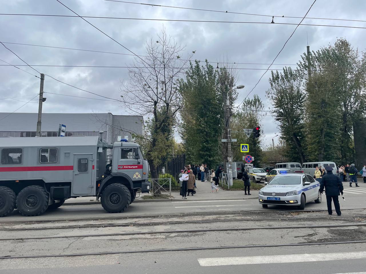 Фото: Новый компаньон 
