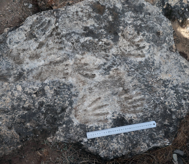 Фото: EurekAlert
