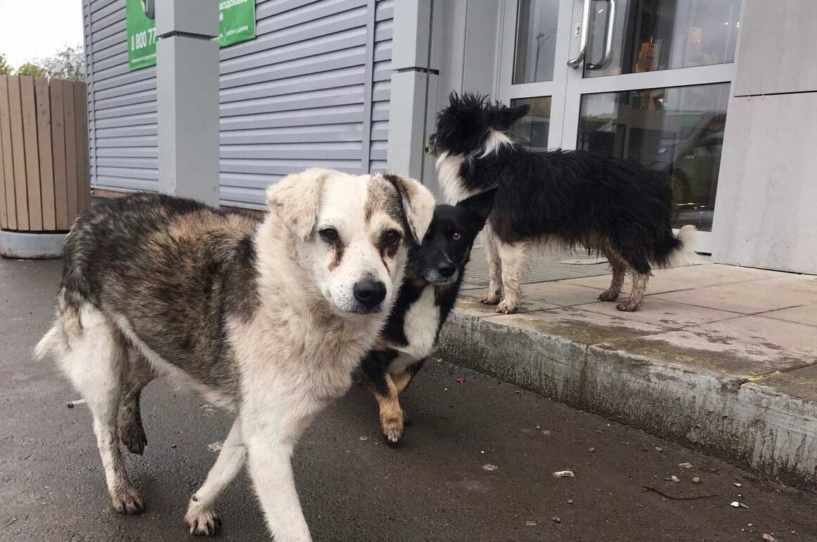 Фото: В курсе.ру