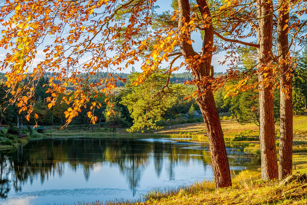 Фото: liveinternet.ru