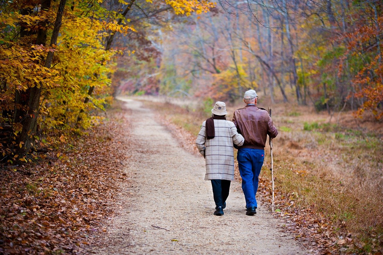 Фото: pixabay.com