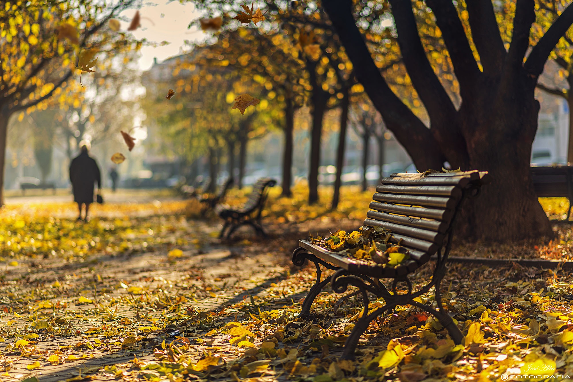 Фото: goodfon.ru