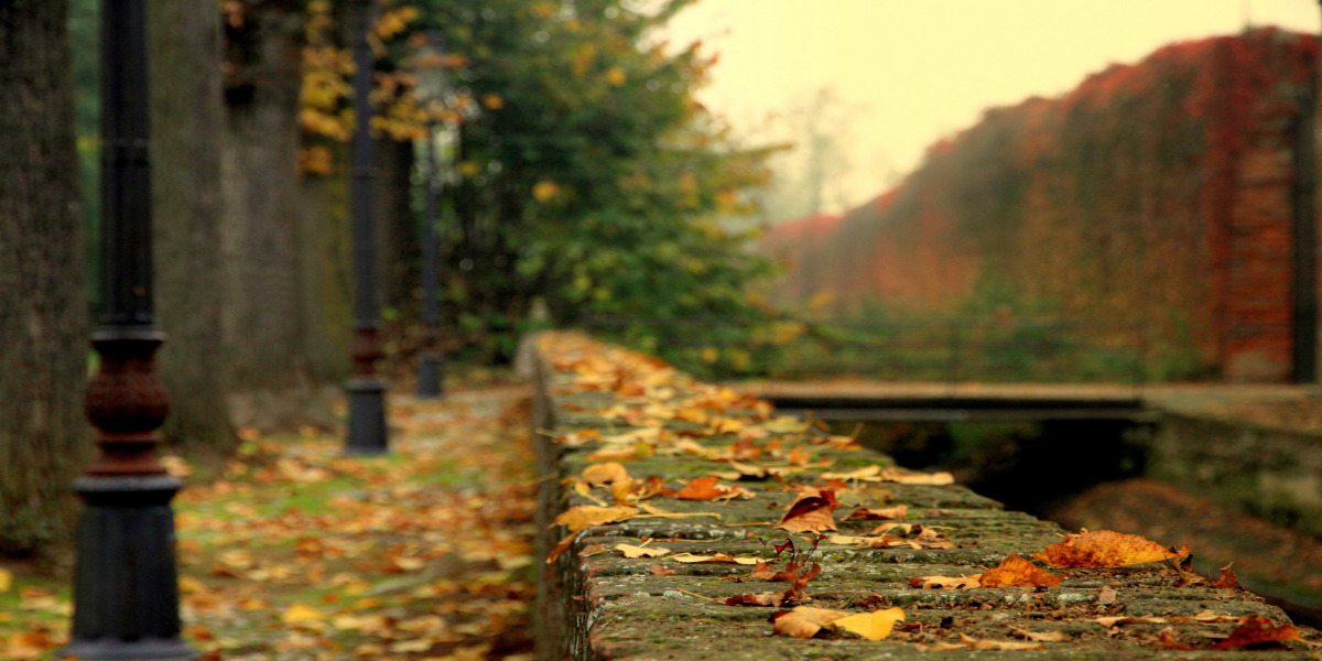 Фото: moi-goda.ru