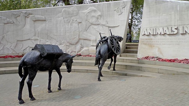 Мемориал погибшим животным в Парк-Лэйн в Лондоне / Фото: zoovet24.ru