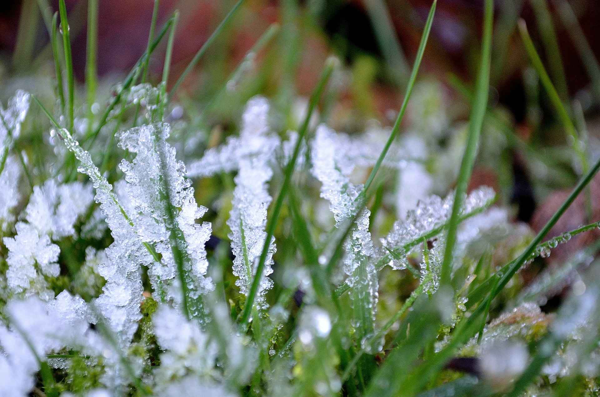 Фото: yur-gazeta.ru