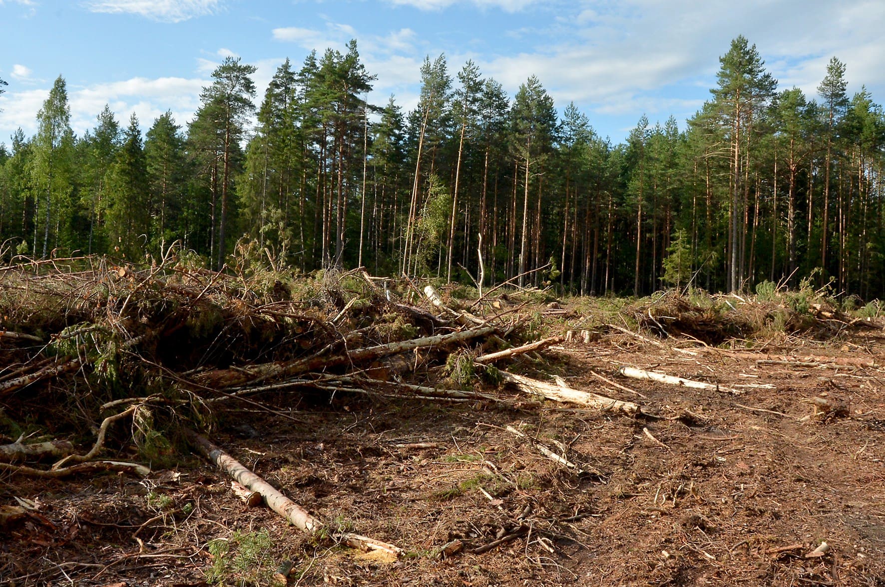 Фото: tvernews.ru