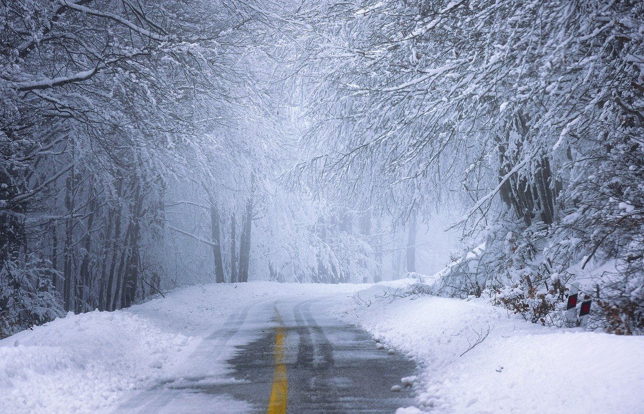 Фото: pixabay.com