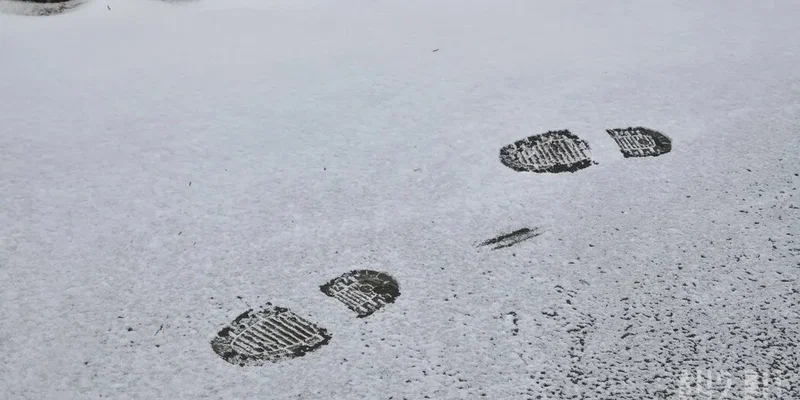 Фото: А42.RU