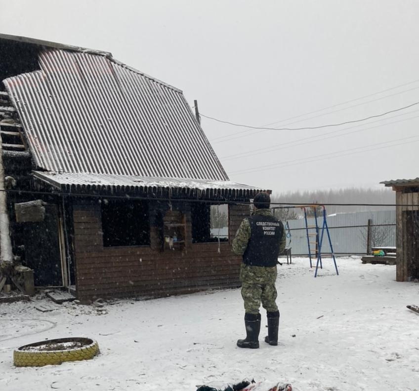 Фото: СУ СКР по Пермскому краю
