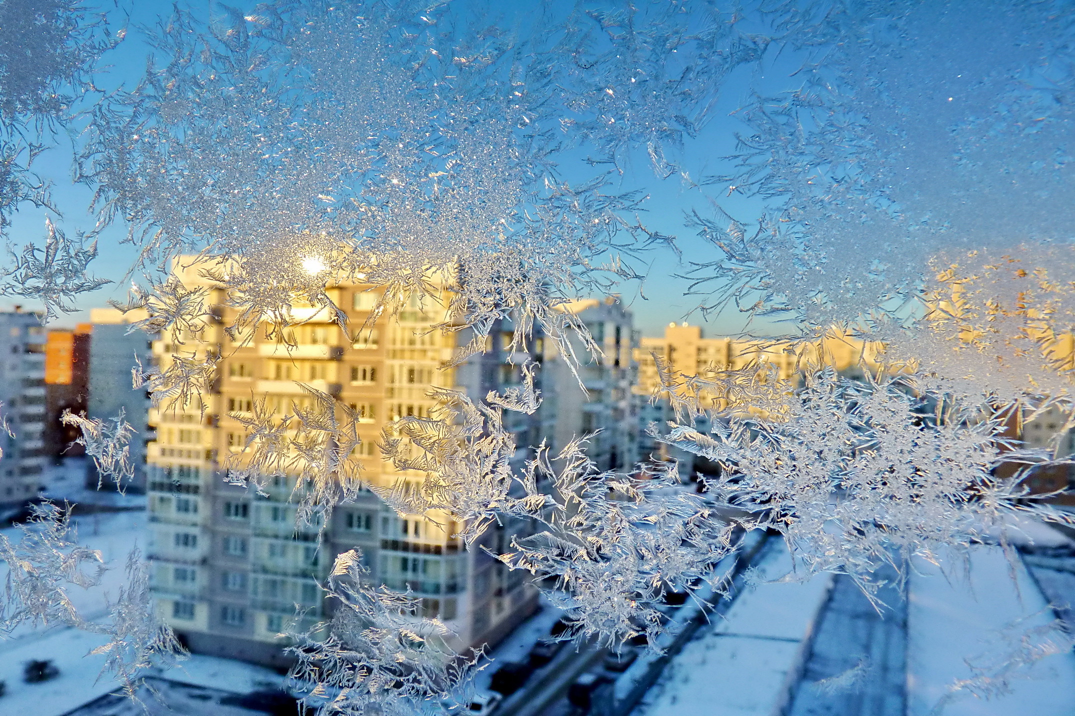 Фото: angarsk38.ru