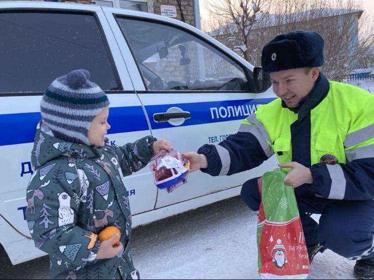 Фото: ГУ МВД РФ по Пермскому краю