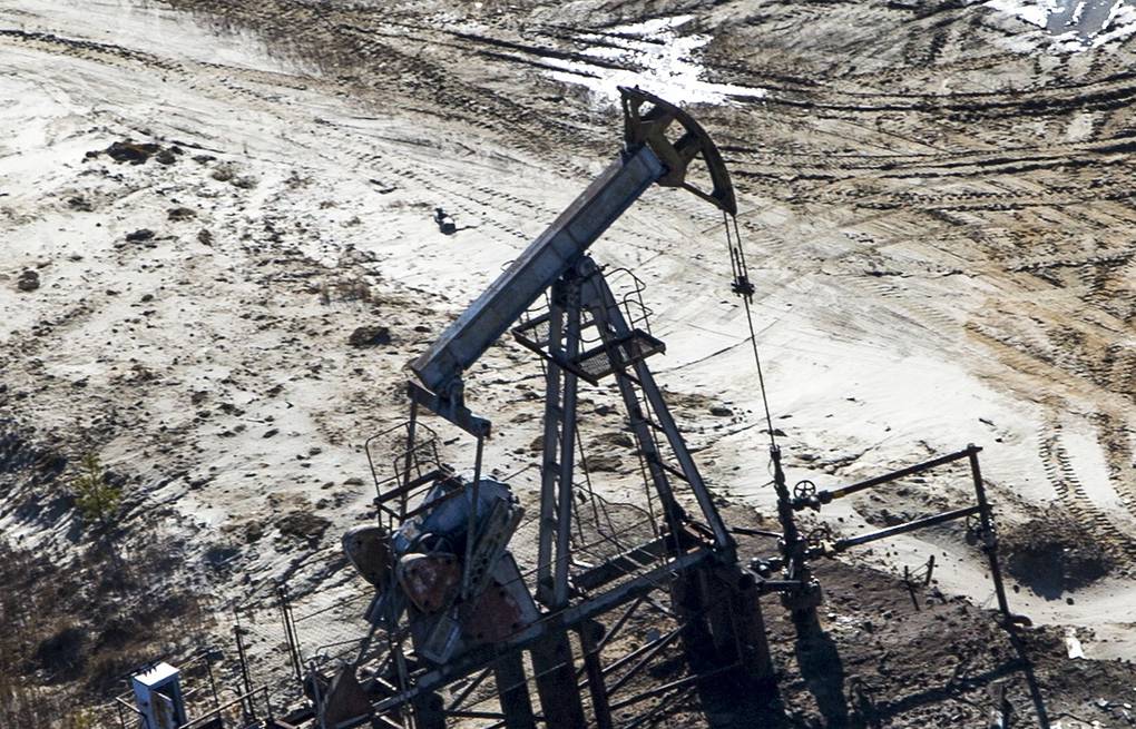 Фото: TASS / Sergei Bobylev