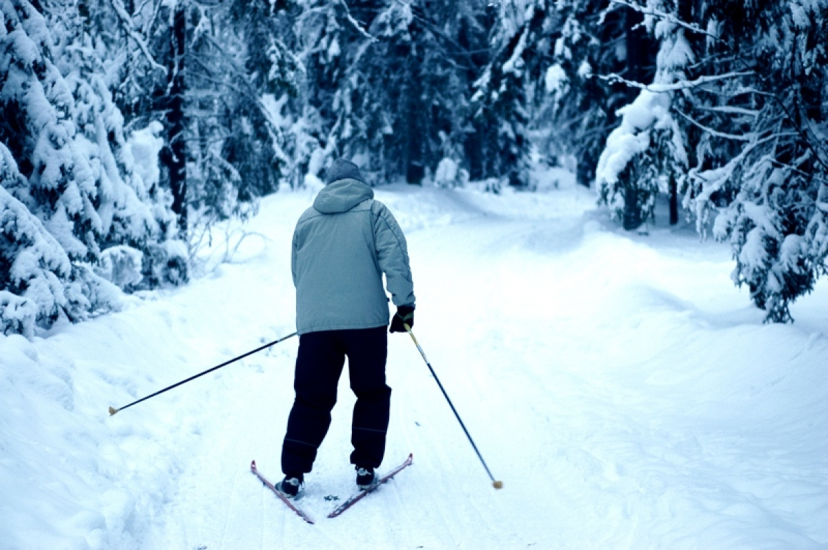 Лыжник в лесу. Человек на лыжах. Лыжник со спины. Мужчина на лыжах.