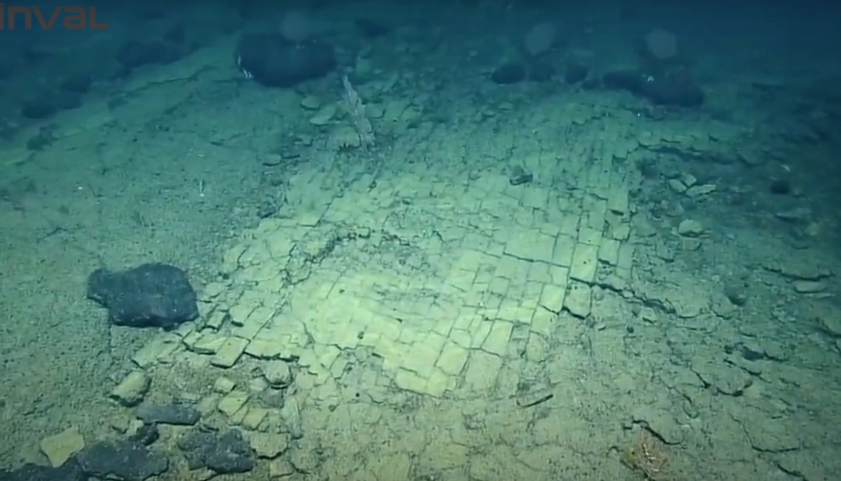 Фото: EVNautilus